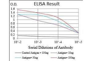 Black line: Control Antigen (100 ng), Purple line: Antigen(10 ng), Blue line: Antigen (50 ng), Red line: Antigen (100 ng), (CNN1 antibody  (AA 16-165))