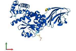 Protein Structure (PS) image for SEC14-Like 4 (SEC14L4) (AA 1-403) protein (His tag) (ABIN7559630)