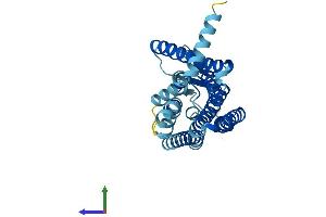 AlphaFold protein structure predicition of Human Recombinant OR4F6 Protein, UniprotID Q8NGB9 (OR4F6 Protein (AA 1-312) (His tag))