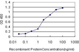 Detection limit for recombinant GST tagged SP1 is approximately 0. (SP1 antibody  (AA 89-198))