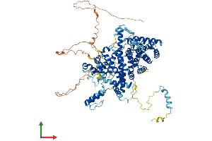 AlphaFold protein structure predicition of Mouse Recombinant Strip2 Protein, UniprotID Q8C9H6 (STRIP2 Protein (AA 1-844) (His tag))