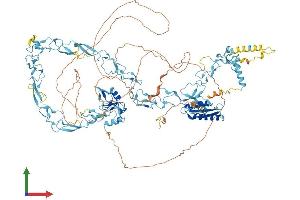 Protein Structure (PS) image for Nuclear Transcription Factor, X-Box Binding 1 (NFX1) (AA 1-1114) protein (His tag) (ABIN7562038)