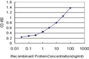 Detection limit for recombinant GST tagged SYT4 is approximately 0. (SYT4 antibody  (AA 1-99))