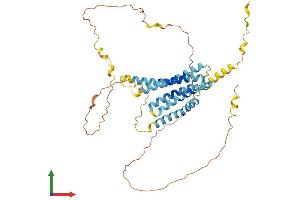Protein Structure (PS) image for Transmembrane Protein 79 (TMEM79) (AA 1-394) protein (His tag) (ABIN7544493)