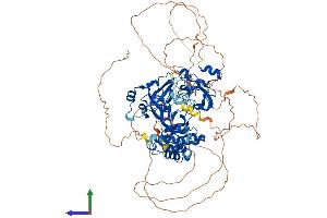 AlphaFold protein structure predicition of Mouse Recombinant L3mbtl1 Protein, UniprotID A2A5N8