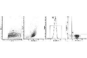 Image no. 1 for anti-Integrin, alpha E (Antigen CD103, Human Mucosal Lymphocyte Antigen 1, alpha Polypeptide) (ITGAE) antibody (FITC) (ABIN1105729) (CD103 antibody  (FITC))