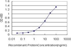 Detection limit for recombinant GST tagged EPHA4 is approximately 0. (EPH Receptor A4 antibody  (AA 887-986))