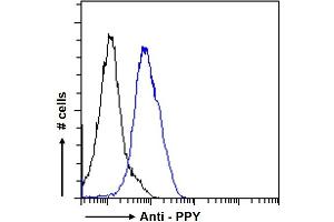 ABIN185420 Flow cytometric analysis of paraformaldehyde fixed U2OS cells (blue line), permeabilized with 0. (PPY antibody  (Internal Region))
