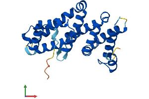 AlphaFold protein structure predicition of Human Recombinant MIF4GD Protein, UniprotID A9UHW6