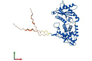 AlphaFold protein structure predicition of Human Recombinant ILF2 Protein, UniprotID Q12905