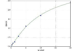 Small Dense Low Density Lipoprotein (SLDL) ELISA Kit