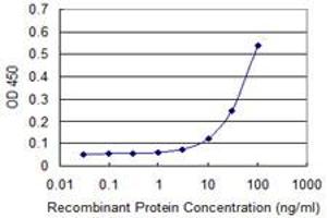 Detection limit for recombinant GST tagged YES1 is approximately 10ng/ml as a capture antibody. (YES1 antibody  (AA 1-543))