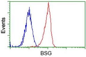 Image no. 3 for anti-Basigin (Ok Blood Group) (BSG) antibody (ABIN1498013) (CD147 antibody)