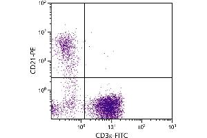 Porcine peripheral blood lymphocytes were stained with Mouse Anti-Porcine CD21-PE. (CD21 antibody  (PE))