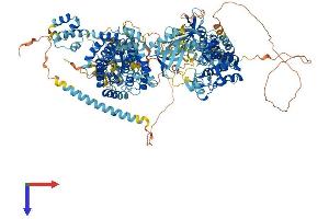 AlphaFold protein structure predicition of Mouse Recombinant Map3k6 Protein, UniprotID Q9WTR2 (MAP3K6 Protein (AA 1-1291) (His tag))