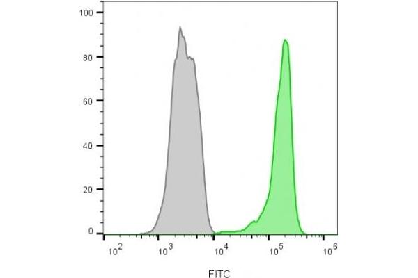 CD45 antibody