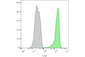 Flow cytometry analysis of lymphocyte-gated PBMCs unstained (gray) or stained with CF488A-labeled CD45 monoclonal antibody (2B11+PD7/26) (green).