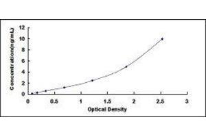 Cathepsin S (CTSS) ELISA Kit