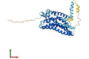 Protein Structure (PS) image for Chemokine (C-C Motif) Receptor 1 (CCR1) (AA 1-355) protein (His tag) (ABIN7563389)