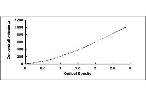 Typical standard curve (CCL15 ELISA Kit)
