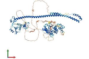 AlphaFold protein structure predicition of Human Recombinant PML Protein, UniprotID P29590 (PML Protein (AA 1-882) (His tag))