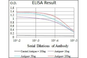 ELISA image for anti-Mitogen-Activated Protein Kinase 14 (MAPK14) (AA 299-360) antibody (ABIN1845584)