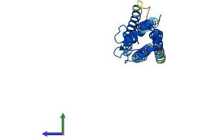Protein Structure (PS) image for CD151 (CD151) (AA 1-253) protein (His tag) (ABIN7552990)