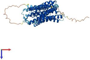 AlphaFold protein structure predicition of Mouse Recombinant Mfsd4b1 Protein, UniprotID Q8VCV9 (Mfsd4b1/Naglt1a Protein (AA 1-425) (His tag))