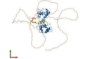 Protein Structure (PS) image for Friend Leukemia Virus Integration 1 (FLI1) (AA 1-452) protein (His tag) (ABIN7563016)