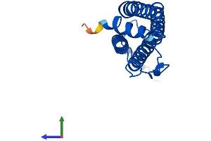 Protein Structure (PS) image for Ferritin, Heavy Polypeptide 1 (FTH1) (AA 1-182) protein (His tag) (ABIN7562777)