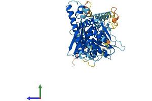Protein Structure (PS) image for Chromosome 9 Open Reading Frame 72 (C9ORF72) (AA 1-481) protein (His tag) (ABIN7553324)