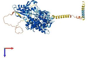 DEAH (Asp-Glu-Ala-His) Box Polypeptide 40 (DHX40) (AA 1-779) protein (His tag)