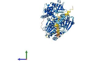 Protein Structure (PS) image for DEAH (Asp-Glu-Ala-His) Box Polypeptide 40 (DHX40) (AA 1-779) protein (His tag) (ABIN7547058)