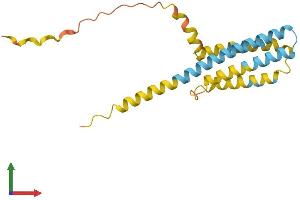 AlphaFold protein structure predicition of Mouse Recombinant Cmtm3 Protein, UniprotID Q99LJ5
