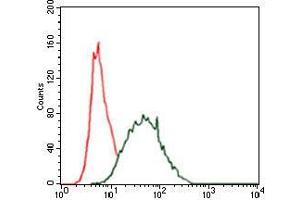 Flow cytometric analysis of HeLa cells using CK5 mouse mAb (green) and negative control (red). (Cytokeratin 5 antibody)