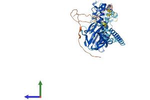 Protein Structure (PS) image for Amiloride-Sensitive Cation Channel 2, Neuronal (ACCN2) (AA 1-526) protein (His tag) (ABIN7564064)