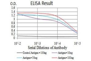 Fig. (KDM4A antibody  (AA 932-1057))