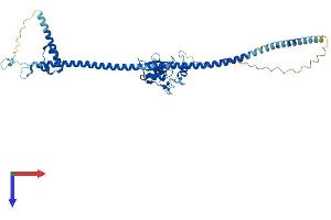SH2 Domain Containing 4B (SH2D4B) (AA 1-431) protein (His tag)