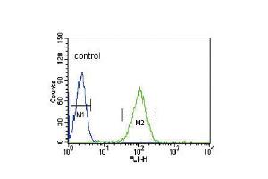 Flow cytometric analysis of HL-60 cells (right histogram) compared to a negative control cell (left histogram). (ENOS antibody  (N-Term))