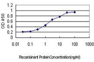 Detection limit for recombinant GST tagged IQGAP2 is approximately 0. (IQGAP2 antibody  (AA 343-449))