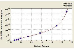 Typical standard curve (NEFL ELISA Kit)