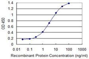 Detection limit for recombinant GST tagged MXI1 is 0. (MXI1 antibody  (AA 1-182))