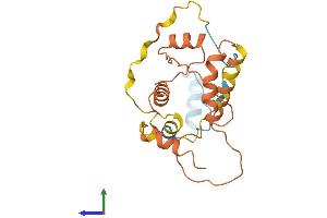 AlphaFold protein structure predicition of Human Recombinant CTSL3P Protein, UniprotID Q5NE16 (CTSL3P Protein (AA 1-218) (His tag))