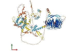 AlphaFold protein structure predicition of Mouse Recombinant Fbxw10 Protein, UniprotID Q5SUS0 (FBXW10 Protein (AA 1-1030) (His tag))