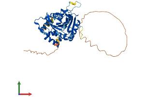 Protein Structure (PS) image for NDRG Family Member 3 (NDRG3) (AA 1-375) protein (His tag) (ABIN7549692)