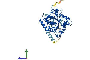 Protein Structure (PS) image for ST8 alpha-N-Acetyl-Neuraminide alpha-2,8-Sialyltransferase 1 (ST8SIA1) (AA 1-355) protein (His tag) (ABIN7557849)