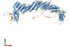 Protein Structure (PS) image for BAI1-Associated Protein 3 (BAIAP3) (AA 1-1187) protein (His tag) (ABIN7552571)