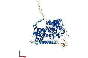 AlphaFold protein structure predicition of Human Recombinant CCND1 Protein, UniprotID P24385 (Cyclin D1 Protein (CCND1) (AA 1-295) (His tag))