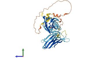 AlphaFold protein structure predicition of Mouse Recombinant Syt12 Protein, UniprotID Q920N7