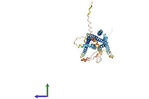 AlphaFold protein structure predicition of Mouse Recombinant Gpr61 Protein, UniprotID Q8C010 (GPR61 Protein (AA 1-449) (His tag))
